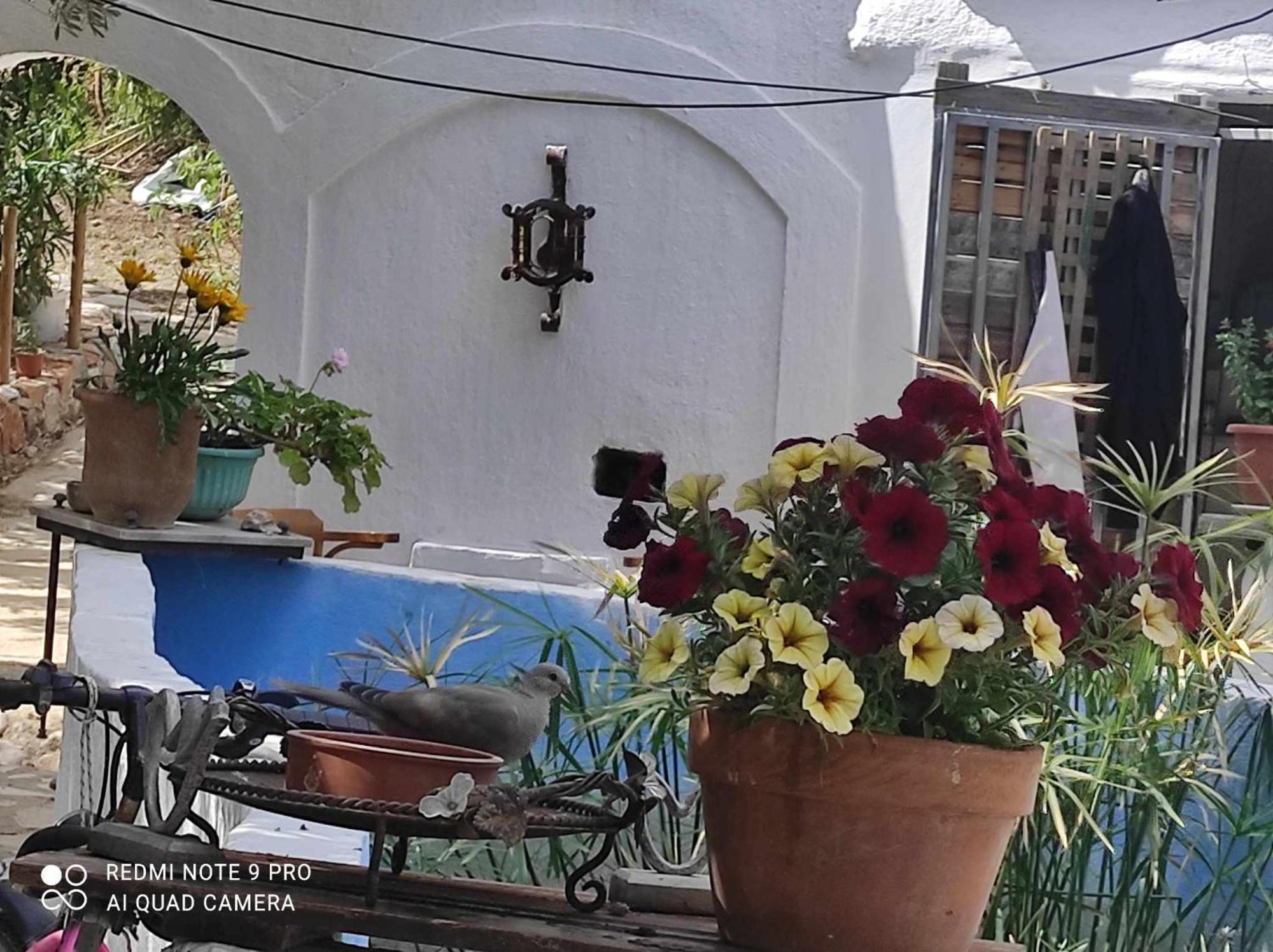 Gabriellas Garden Palaiokastro  Екстер'єр фото