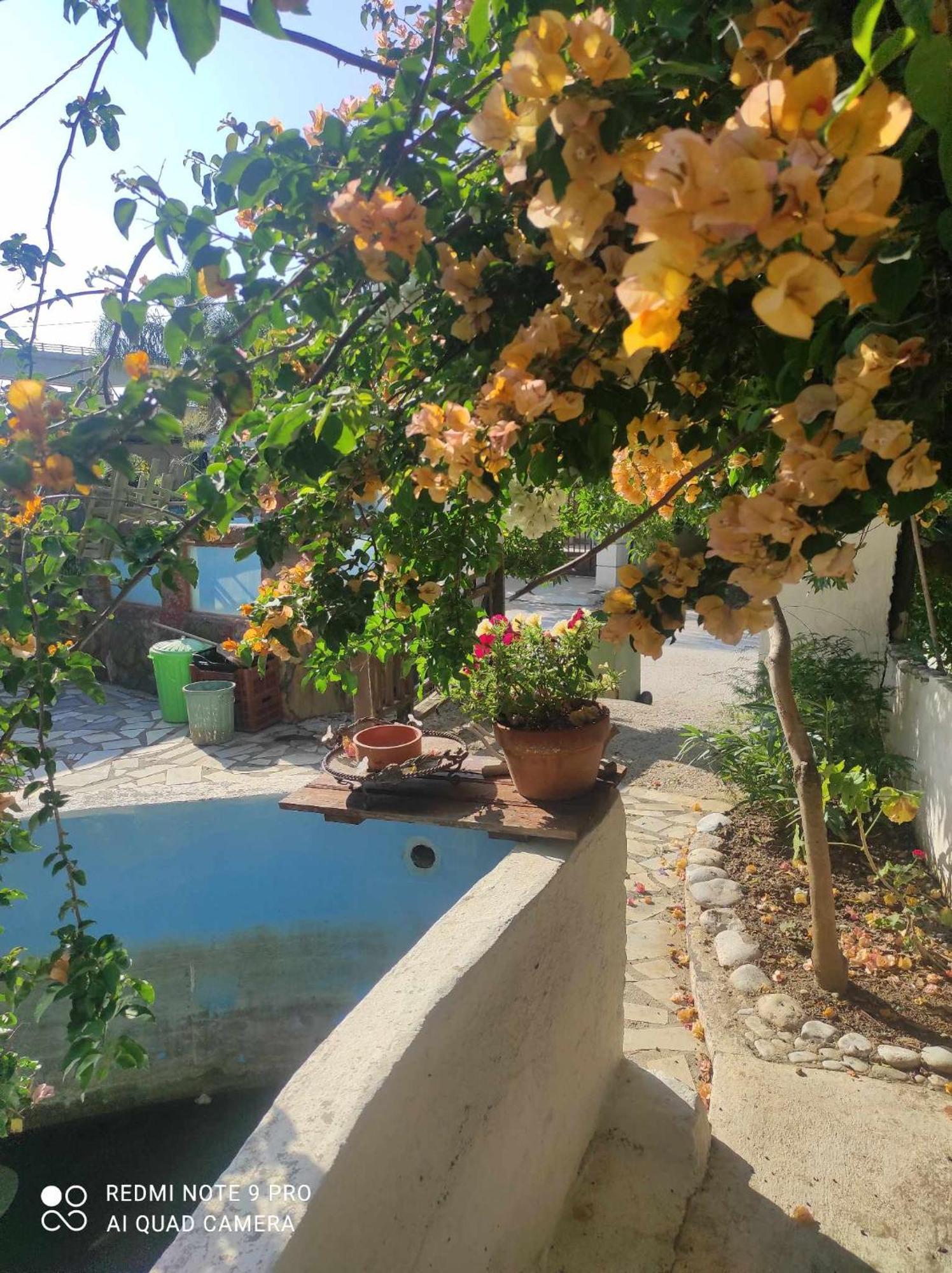 Gabriellas Garden Palaiokastro  Екстер'єр фото